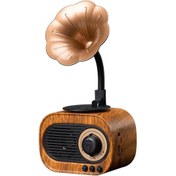 Resim Eksprespazar Nostaljik Mini Retro Gramofon Bluetooth Usb Fm Radyo Kahve Rengi 
