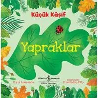 Resim Küçük Kaşif - Yapraklar 