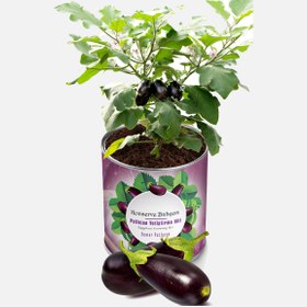 Resim Konserve Bahçem Patlıcan Fide Yetiştirme Kiti 