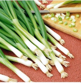 Resim Taze Yeşil Soğan Tohumu 5 Gram 1 Set 