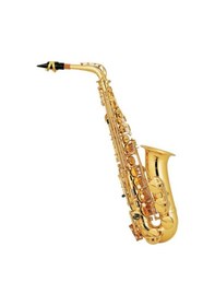 Resim Vivaldi Alto Saksafon 