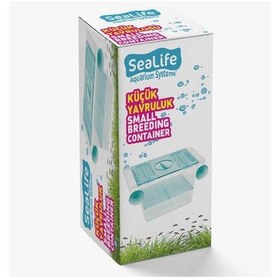 Resim Balık Yavruluğu 2'li White Balance 