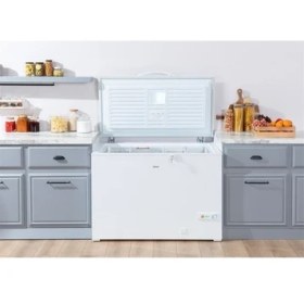 Resim Regal Sd Dual 3020 E Enerji Sınıfı 268 lt Sandık Tipi Derin Dondurucu 