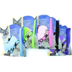 Resim Melek Kanatlı Kedi Göğüs Tasması Gezdirme İpi Takım Ayarlanabilir 
