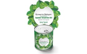Resim Sinerjim Yumurcak Shop® Konserve Bahçem Evde Konservede Kolay Ispanak Yetiştirme Kiti 
