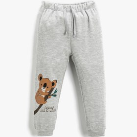 Resim Erkek Bebek Koala Baskılı Jogger Eşofman Altı 