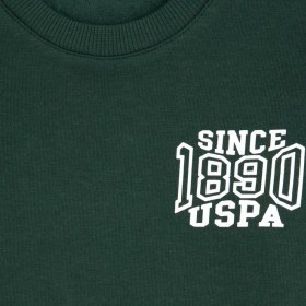 Resim U.S. Polo Assn. Erkek Çocuk Koyu Yeşil Şardonlu Bisiklet Yaka Sweatshirt 50316603-VR079 