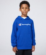 Resim Champion Icons Hooded Sweatshirt 