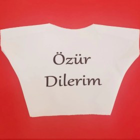 Resim Özür Dilerim Yazılı Peluş Oyuncak Ayı Tişörtü 