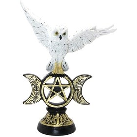 Resim Dekoratif Uçan Baykuş Figürü 