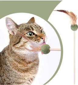 Resim Pribor Tüylü Catnipli Kedi Oyun Oltası, Kedi Naneli 