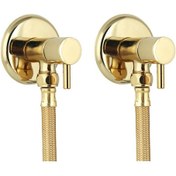 Resim Fkn İkili Çubuk Başlı Pirinç Altın Taharet Musluğu Spiralli (2 Musluk + 2 Spiral) Altın 