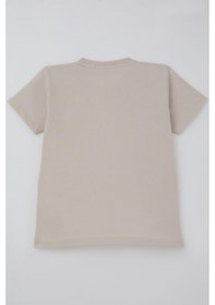 Resim Breeze Erkek Çocuk Tişört Basic 4-8 Yaş, Taş 