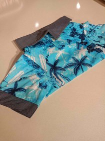 Resim MAVİ ÇİÇEKİ HAWAİ KÖPEK TSHİRT - XXL 