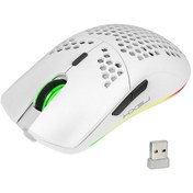 Resim Hallow Hxsj T66 Rgb 2.4g Kablosuz Oyuncu Mouse T66 