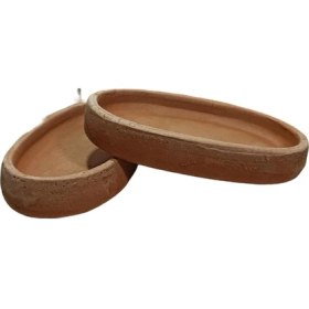 Resim Hype Store Bitki Fidanım Toprak Güveç Ikili 20 cm 