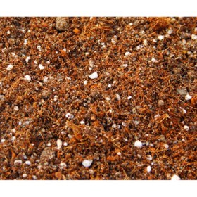 Resim Tunç Botanik BİTKİ TOPRAĞI 10 LT - 5'Lİ KARIŞIM(TORF,PERLİT,KOMPOST,KUM,ORMAN TOPRAĞI) 