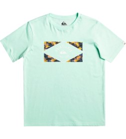 Resim Quiksilver Circledline B Erkek Çocuk Tişört 