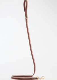 Resim Urban Leash Cortado - Deri Gezdirme Kayışı - S 