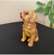 Resim Mini Golden Köpek Dekoratif Biblo 