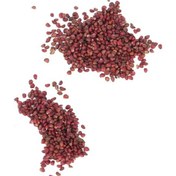 Resim Lebihmurah 3576 Pineberry Tohumları, 200 Adet Beyaz Çilek Tohumları Balkon İçin Bahçede Kolay Büyüme 