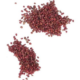 Resim Lebihmurah 3576 Pineberry Tohumları, 200 Adet Beyaz Çilek Tohumları Balkon İçin Bahçede Kolay Büyüme 