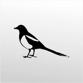 Resim Folyo Sticker Muhabbet Kuşu 90 cm uzunluk 