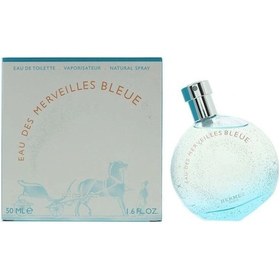 Resim Hermes Eau Des Merveilles Bleue Edt 100 Ml Diğer 