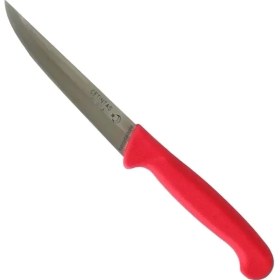 Resim Paslanmaz Bursa Sebze Bıçağı 12 Cm, Plastik Sap 