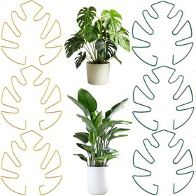 Resim 3 adet Altın/Yeşil Bitki Kök Desteği Monstera Bitki Desteği Kelepçesi Benzersiz Bitki Sabitleyici İç Mekan Bitkileri için Demir Pothos Bitki Tırmanma Desteği Kaplumbağa Kabuğu Bambu Kelepçesi İç Mekan Bitki Çubukları, 18x16cm 