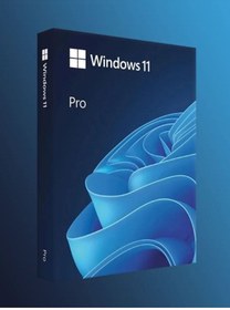 Resim Microsoft Windows 11 Professional Dijital Key Ömür Boyu 