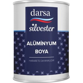 Resim Darsa Silvester Yaldız Boya 