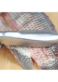 Resim Pratik Balık Pulu Kazıyıcı Aparat Diğer 