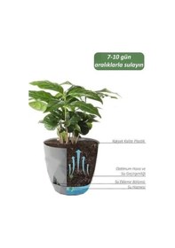 Resim Omnipazar Krs-450 Yakamoz Tabaklı Plastik Saksı Takımı 0.3 Litre No 0 Beyaz 