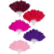 Resim Kına Atölyesi Yelpaze Tüylü Normal Boy 1 Adet 