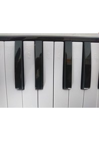 Resim Cremonia Cr32Bl-12 Melodika 32 Tuşlu Mavi Renk 12 Li Paket Eva Ç 