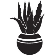 Resim Saksı Çiçeği Kaktüs (Oto-Motor-Laptop-Duvar-Dekor) (Tip 3) 10 x 16 cm 