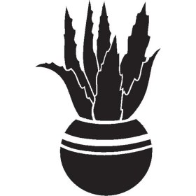 Resim Saksı Çiçeği Kaktüs (Oto-Motor-Laptop-Duvar-Dekor) (Tip 3) 10 x 16 cm 