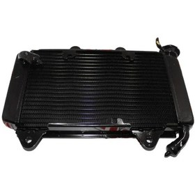 Resim Pulsar Rs 200 Radyatör A 