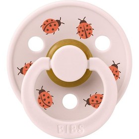 Resim Bibs Studio Colour Ladybug Friends Emzik-petal 6-18 Ay 