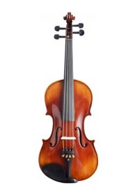 Resim Dominguez Profesyonel Keman 4/4 Dvpg44-P1 