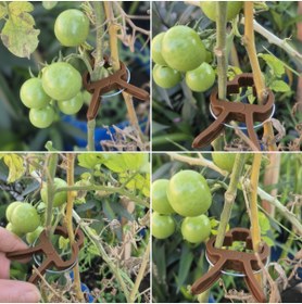 Resim DmeFlora Bitki Bağlama Destek Mandalı Kahverengi 1 Adet Küçük Boy 