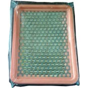 Resim Çim Biçme Makinesi Hava Filtresi 170Mm X 110Mm 