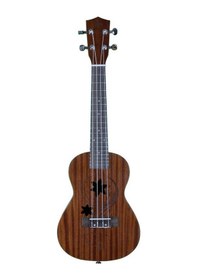 Resim Finks Fk-223 Concert Ukulele Taşıma Çantası 