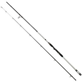 Resim Captain 1448 Grey Spin 290cm 2 Parça Shore Jig Kamışı 14-62gr Atar 