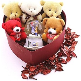 Resim Sevgiliye Hediye Özel Kalp Kutu İçinde Kar Küresi ve Yavru Ayıcıklar Hediye Kutusu A75 