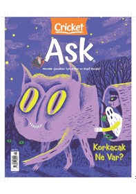 Resim Ask 1. Sayı 