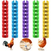 Resim 100 Adet Tavuk Bacak Halkası 5 Renkli, Tavuk Bacak Bantları Renkli Kümes Hayvanları Bacak Bantları, Ördek Civciv Tavuk Guinea Güvercinler Kazlar Için Klipsli Tavuk Ayak Bilezikleri 