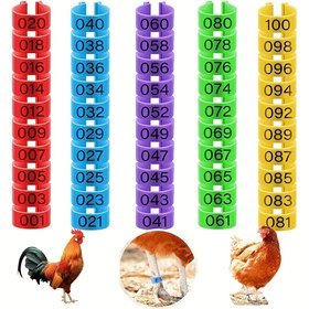 Resim 100 Adet Tavuk Bacak Halkası 5 Renkli, Tavuk Bacak Bantları Renkli Kümes Hayvanları Bacak Bantları, Ördek Civciv Tavuk Guinea Güvercinler Kazlar Için Klipsli Tavuk Ayak Bilezikleri 