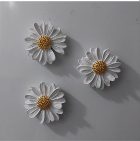 Resim Bernami Vazo Pinterest Papatya Set Magnet 6 Lı Buzdolabı Süsü Hediyelik Eşya Dekoratif Aksesuar Diğer 
